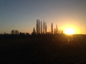 IMG_4276[1]